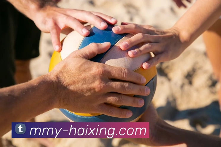 海星体育平台生态图