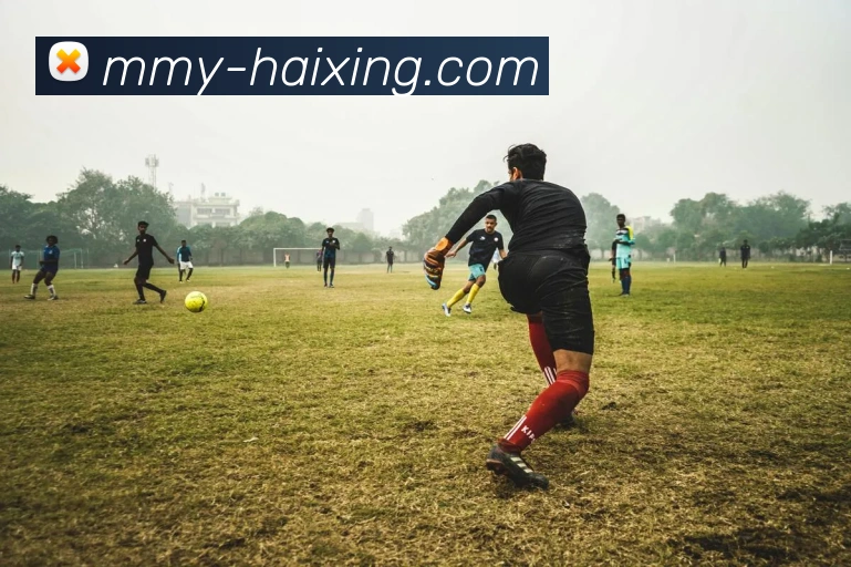 海星体育APP 封面图